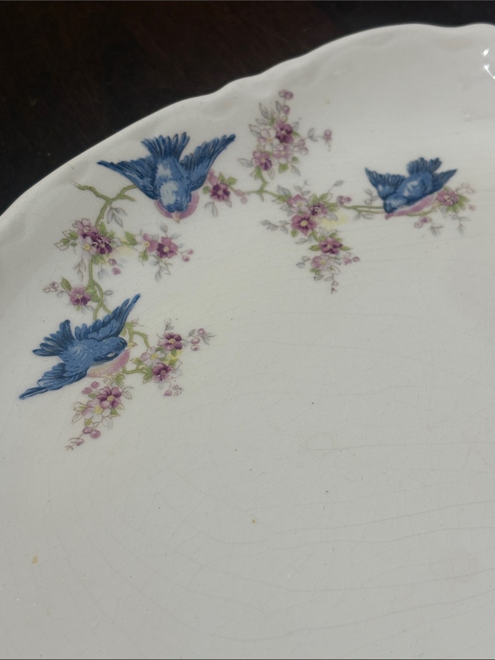 Vintage W.S. George Radisson Bluebird Oval Platter Made in USA - Picture 4 of 5